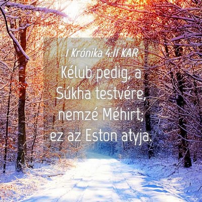 Picture 04 - 1 Krónika 4:11 KAR - Kélub pedig, a Súkha testvére, nemzé Méhirt; - Bible Verse Picture