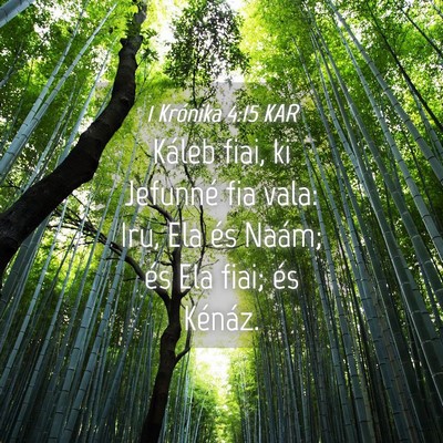 Picture 04 - 1 Krónika 4:15 KAR - Káleb fiai, ki Jefunné fia vala: Iru, Ela és - Bible Verse Picture