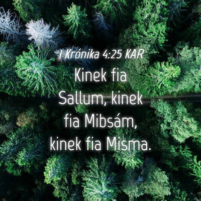 Picture 04 - 1 Krónika 4:25 KAR - Kinek fia Sallum, kinek fia Mibsám, kinek fia - Bible Verse Picture