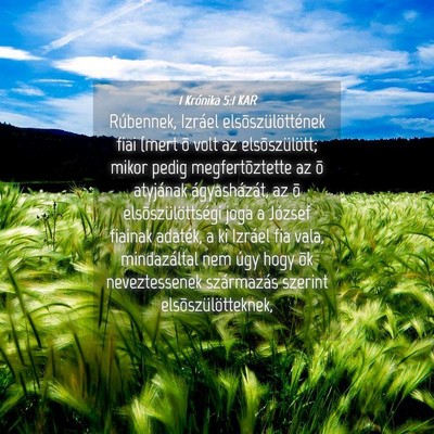 Picture 04 - 1 Krónika 5:1 KAR - Rúbennek, Izráel elsõszülöttének fiai (mert - Bible Verse Picture