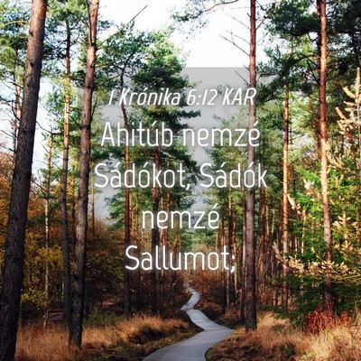 Picture 04 - 1 Krónika 6:12 KAR - Ahitúb nemzé Sádókot, Sádók nemzé - Bible Verse Picture