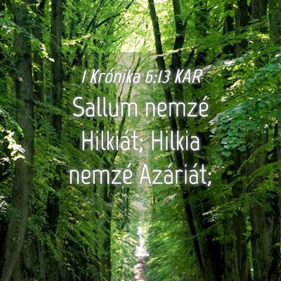 Picture 04 - 1 Krónika 6:13 KAR - Sallum nemzé Hilkiát; Hilkia nemzé - Bible Verse Picture