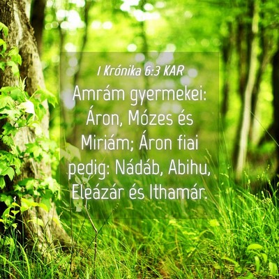 Picture 04 - 1 Krónika 6:3 KAR - Amrám gyermekei: Áron, Mózes és Miriám; - Bible Verse Picture