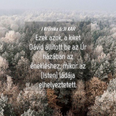 Picture 04 - 1 Krónika 6:31 KAR - Ezek azok, a kiket Dávid állított be az Úr - Bible Verse Picture