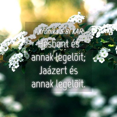 Picture 04 - 1 Krónika 6:81 KAR - Hesbont és annak legelõit; Jaázert és annak - Bible Verse Picture