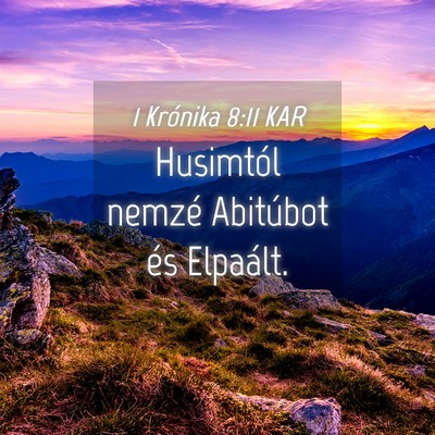 Picture 04 - 1 Krónika 8:11 KAR - Husimtól nemzé Abitúbot és - Bible Verse Picture