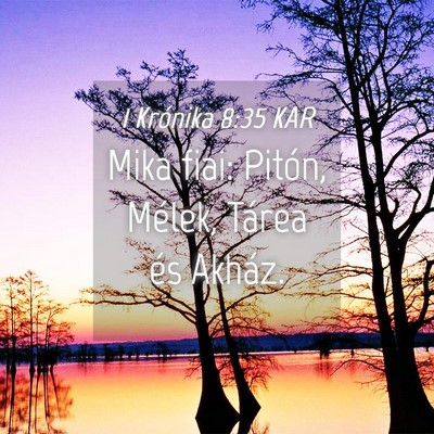 Picture 04 - 1 Krónika 8:35 KAR - Mika fiai: Pitón, Mélek, Tárea és - Bible Verse Picture
