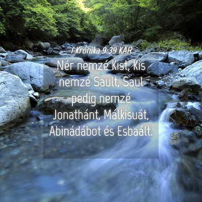Picture 04 - 1 Krónika 9:39 KAR - Nér nemzé Kist, Kis nemzé Sault, Saul pedig - Bible Verse Picture