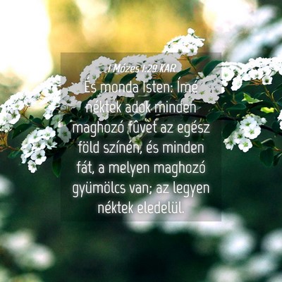 Picture 04 - 1 Mózes 1:29 KAR - És monda Isten: Ímé néktek adok minden - Bible Verse Picture