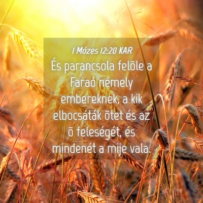 Picture 04 - 1 Mózes 12:20 KAR - És parancsola felõle a Faraó némely - Bible Verse Picture