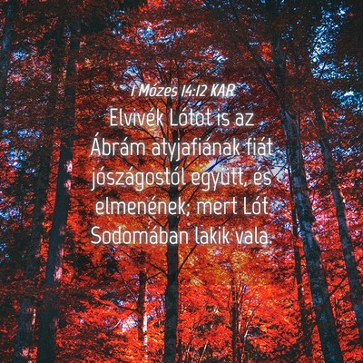 Picture 04 - 1 Mózes 14:12 KAR - Elvivék Lótot is az Ábrám atyjafiának fiát - Bible Verse Picture
