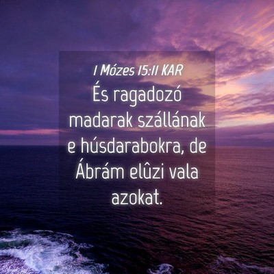 Picture 04 - 1 Mózes 15:11 KAR - És ragadozó madarak szállának e - Bible Verse Picture