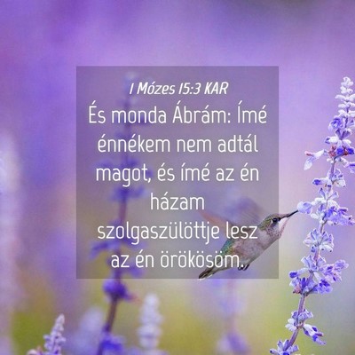 Picture 04 - 1 Mózes 15:3 KAR - És monda Ábrám: Ímé énnékem nem adtál - Bible Verse Picture