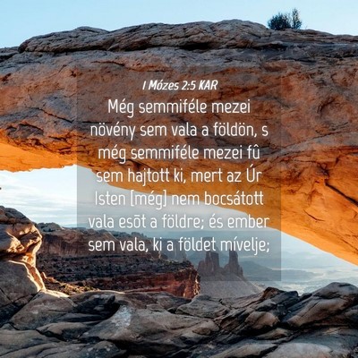 Picture 04 - 1 Mózes 2:5 KAR - Még semmiféle mezei növény sem vala a - Bible Verse Picture