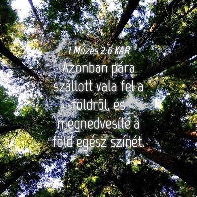 Picture 04 - 1 Mózes 2:6 KAR - Azonban pára szállott vala fel a földrõl, és - Bible Verse Picture
