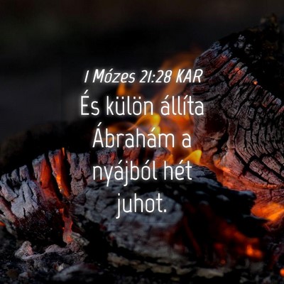 Picture 04 - 1 Mózes 21:28 KAR - És külön állíta Ábrahám a nyájból hét - Bible Verse Picture
