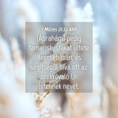 Picture 04 - 1 Mózes 21:33 KAR - [Ábrahám] pedig tamariskusfákat ültete - Bible Verse Picture