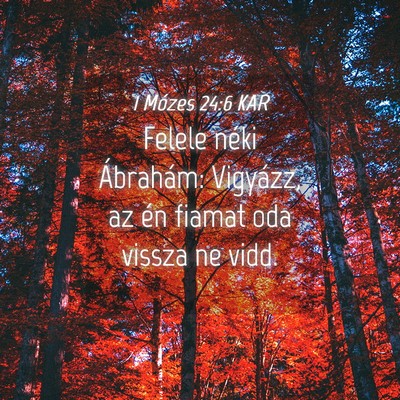 Picture 04 - 1 Mózes 24:6 KAR - Felele néki Ábrahám: Vigyázz, az én fiamat - Bible Verse Picture