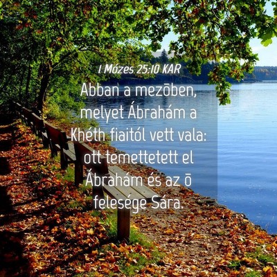 Picture 04 - 1 Mózes 25:10 KAR - Abban a mezõben, melyet Ábrahám a Khéth - Bible Verse Picture
