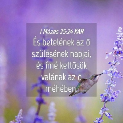 Picture 04 - 1 Mózes 25:24 KAR - És betelének az õ szülésének napjai, és - Bible Verse Picture