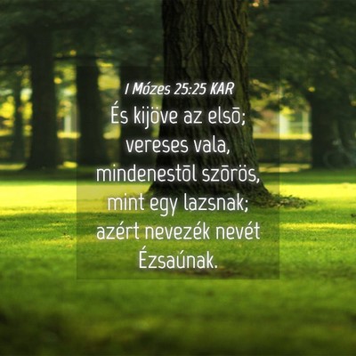 Picture 04 - 1 Mózes 25:25 KAR - És kijöve az elsõ; vereses vala, mindenestõl - Bible Verse Picture