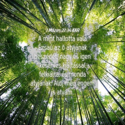 Picture 04 - 1 Mózes 27:34 KAR - A mint hallotta vala Ézsaú az õ atyjának - Bible Verse Picture