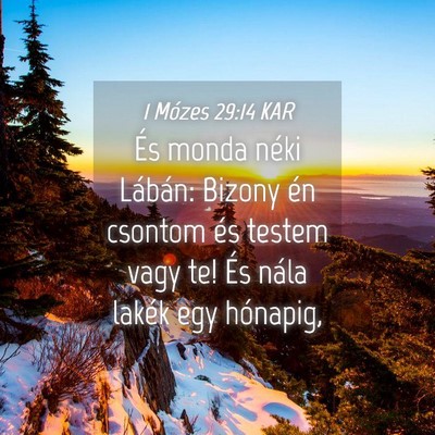 Picture 04 - 1 Mózes 29:14 KAR - És monda néki Lábán: Bizony én csontom és - Bible Verse Picture