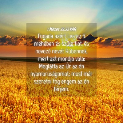Picture 04 - 1 Mózes 29:32 KAR - Fogada azért Lea az õ méhében és szûle - Bible Verse Picture