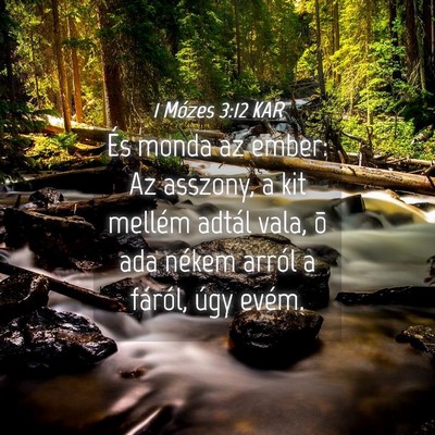 Picture 04 - 1 Mózes 3:12 KAR - És monda az ember: Az asszony, a kit mellém - Bible Verse Picture