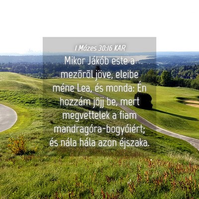 Picture 04 - 1 Mózes 30:16 KAR - Mikor Jákób este a mezõrõl jöve, eleibe - Bible Verse Picture