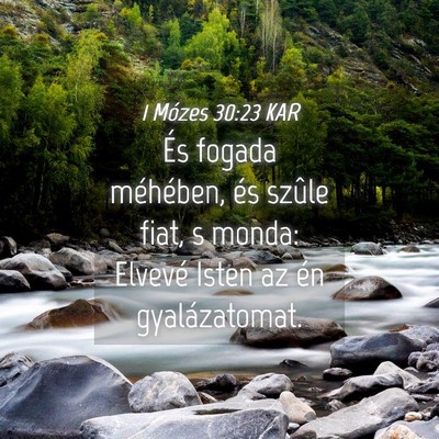Picture 04 - 1 Mózes 30:23 KAR - És fogada méhében, és szûle fiat, s monda: - Bible Verse Picture