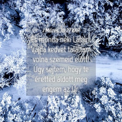 Picture 04 - 1 Mózes 30:27 KAR - És monda néki Lábán: Vajha kedvet találtam - Bible Verse Picture