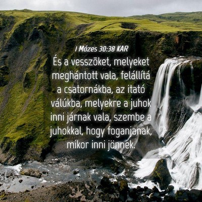 Picture 04 - 1 Mózes 30:38 KAR - És a vesszõket, melyeket meghántott vala, - Bible Verse Picture