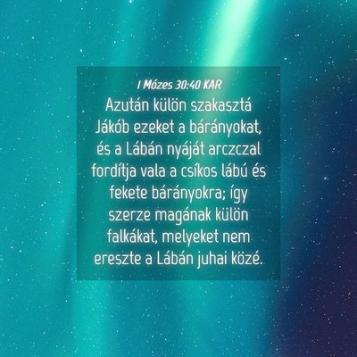 Picture 04 - 1 Mózes 30:40 KAR - Azután külön szakasztá Jákób ezeket a - Bible Verse Picture