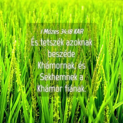 Picture 04 - 1 Mózes 34:18 KAR - És tetszék azoknak beszéde Khámornak, és - Bible Verse Picture