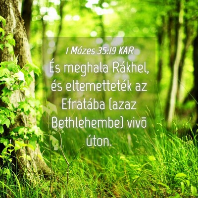 Picture 04 - 1 Mózes 35:19 KAR - És meghala Rákhel, és eltemetteték az - Bible Verse Picture