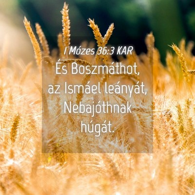 Picture 04 - 1 Mózes 36:3 KAR - És Boszmáthot, az Ismáel leányát, - Bible Verse Picture