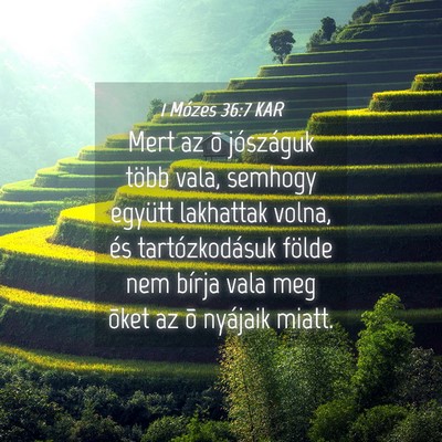 Picture 04 - 1 Mózes 36:7 KAR - Mert az õ jószáguk több vala, semhogy együtt - Bible Verse Picture