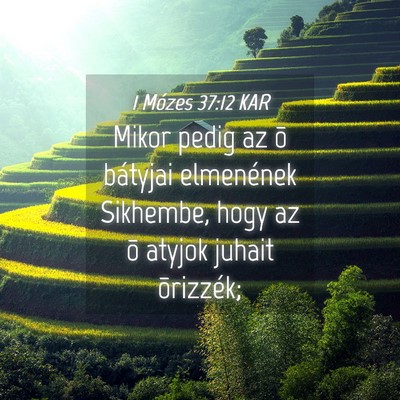 Picture 04 - 1 Mózes 37:12 KAR - Mikor pedig az õ bátyjai elmenének Sikhembe, - Bible Verse Picture