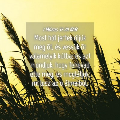 Picture 04 - 1 Mózes 37:20 KAR - Most hát jertek öljük meg õt, és vessük õt - Bible Verse Picture