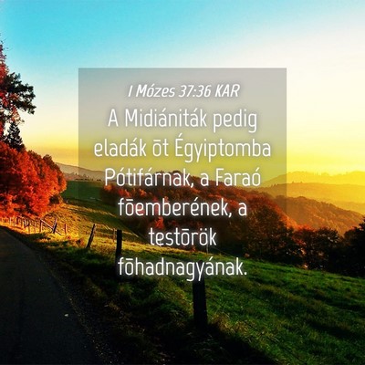 Picture 04 - 1 Mózes 37:36 KAR - A Midiániták pedig eladák õt Égyiptomba - Bible Verse Picture