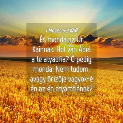 Picture 04 - 1 Mózes 4:9 KAR - És monda az Úr Kainnak: Hol van Ábel a te - Bible Verse Picture
