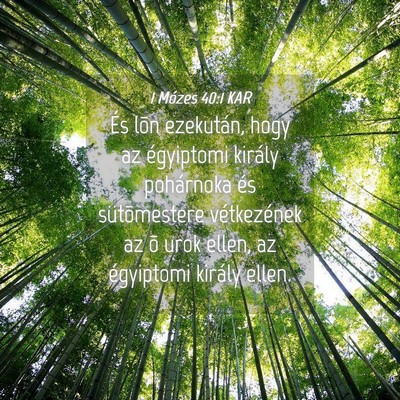 Picture 04 - 1 Mózes 40:1 KAR - És lõn ezekután, hogy az égyiptomi király - Bible Verse Picture