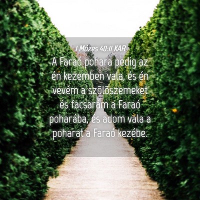 Picture 04 - 1 Mózes 40:11 KAR - A Faraó pohara pedig az én kezemben vala, és - Bible Verse Picture
