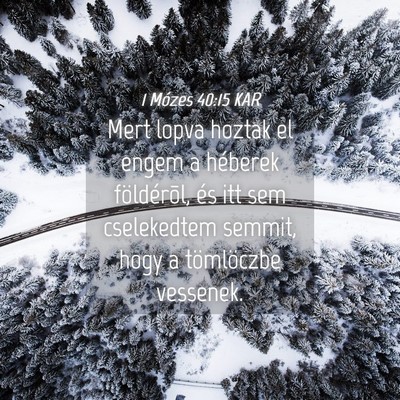 Picture 04 - 1 Mózes 40:15 KAR - Mert lopva hoztak el engem a héberek - Bible Verse Picture