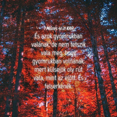 Picture 04 - 1 Mózes 41:21 KAR - És azok gyomrukban valának, de nem tetszik vala - Bible Verse Picture