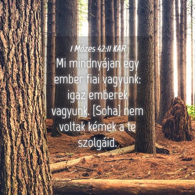 Picture 04 - 1 Mózes 42:11 KAR - Mi mindnyájan egy ember fiai vagyunk: igaz - Bible Verse Picture