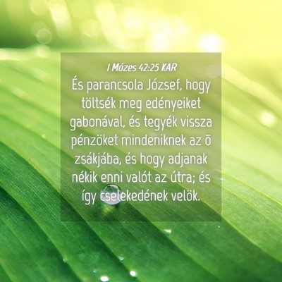 Picture 04 - 1 Mózes 42:25 KAR - És parancsola József, hogy töltsék meg - Bible Verse Picture