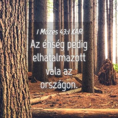 Picture 04 - 1 Mózes 43:1 KAR - Az éhség pedig elhatalmazott vala az - Bible Verse Picture