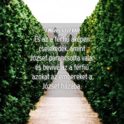 Picture 04 - 1 Mózes 43:17 KAR - És az a férfiú aképen cselekedék, amint - Bible Verse Picture